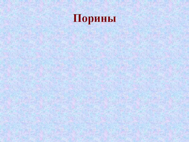 Порины